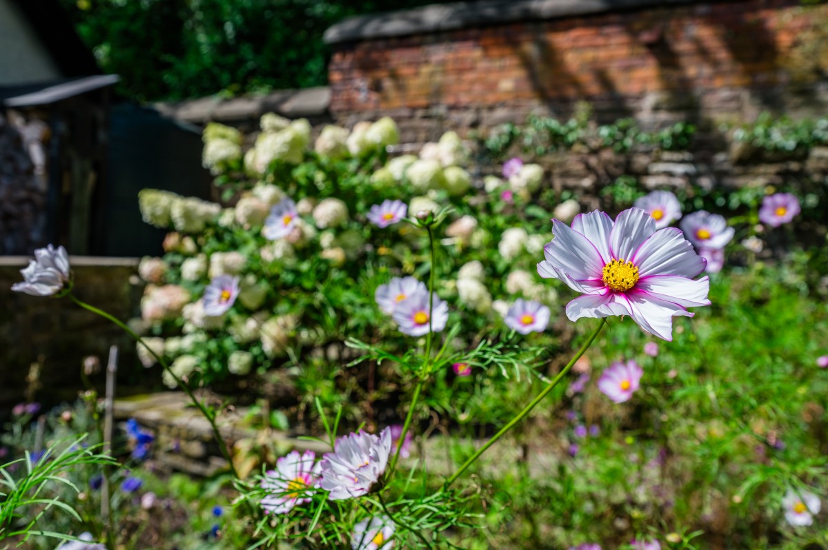 Images for Chorley Road, Standish, Wigan