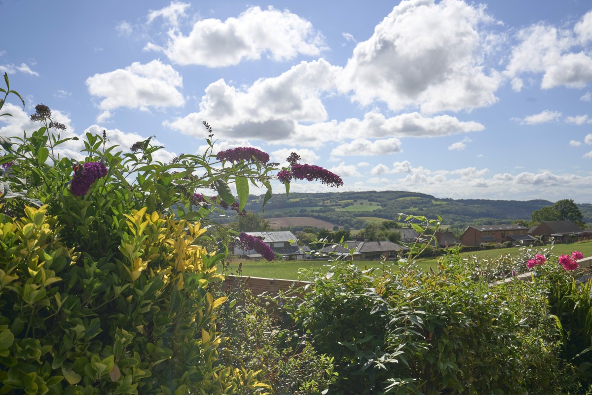 Images for Appley Lane North, Appley Bridge, Wigan