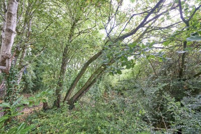 Images for Chorley Road, Standish, Wigan EAID:TracyPhillipsEstates BID:Tracy Phillips Estates