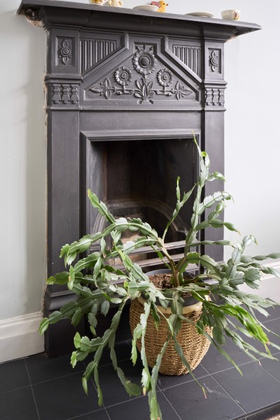 Images for Silverdale, Swinley, Wigan EAID:TracyPhillipsEstates BID:Tracy Phillips Estates