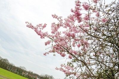 Images for Churchfield, Shevington, Wigan EAID:TracyPhillipsEstates BID:Tracy Phillips Estates