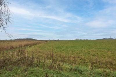 Images for Liverpool Road, Bickerstaffe EAID:TracyPhillipsEstates BID:Tracy Phillips Estates