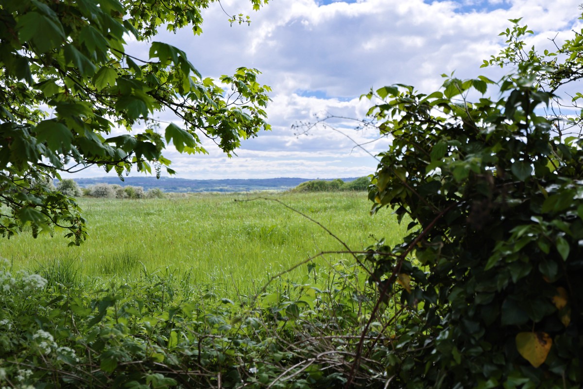 Images for Beech Walk, Standish, Wigan