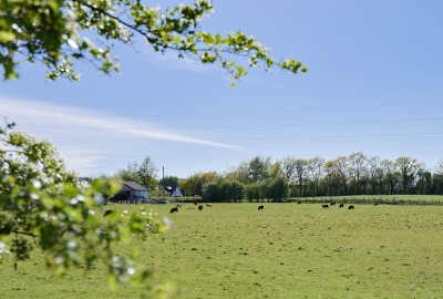 Images for The Coach House, Preston Road, Chorley EAID:TracyPhillipsEstates BID:Tracy Phillips Estates