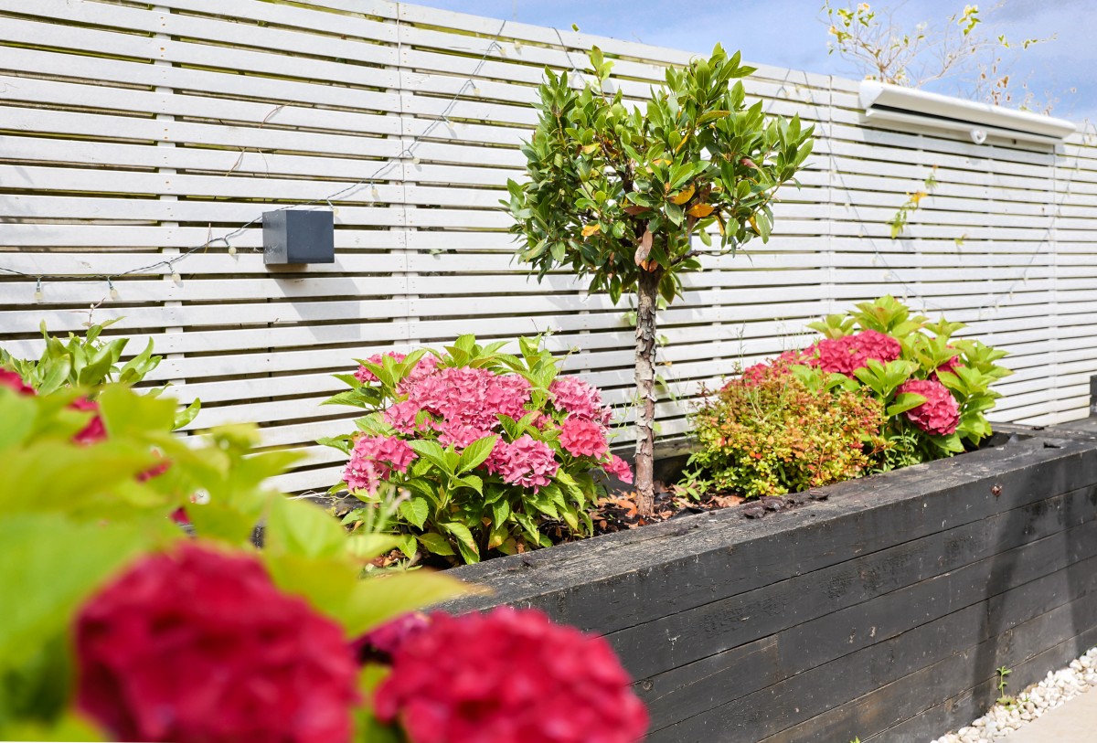 Images for Whitley Crescent, Whitley